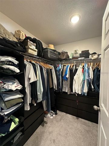 1289 WISPY CYPRESS DRIVE, Kissimmee, FL 34746