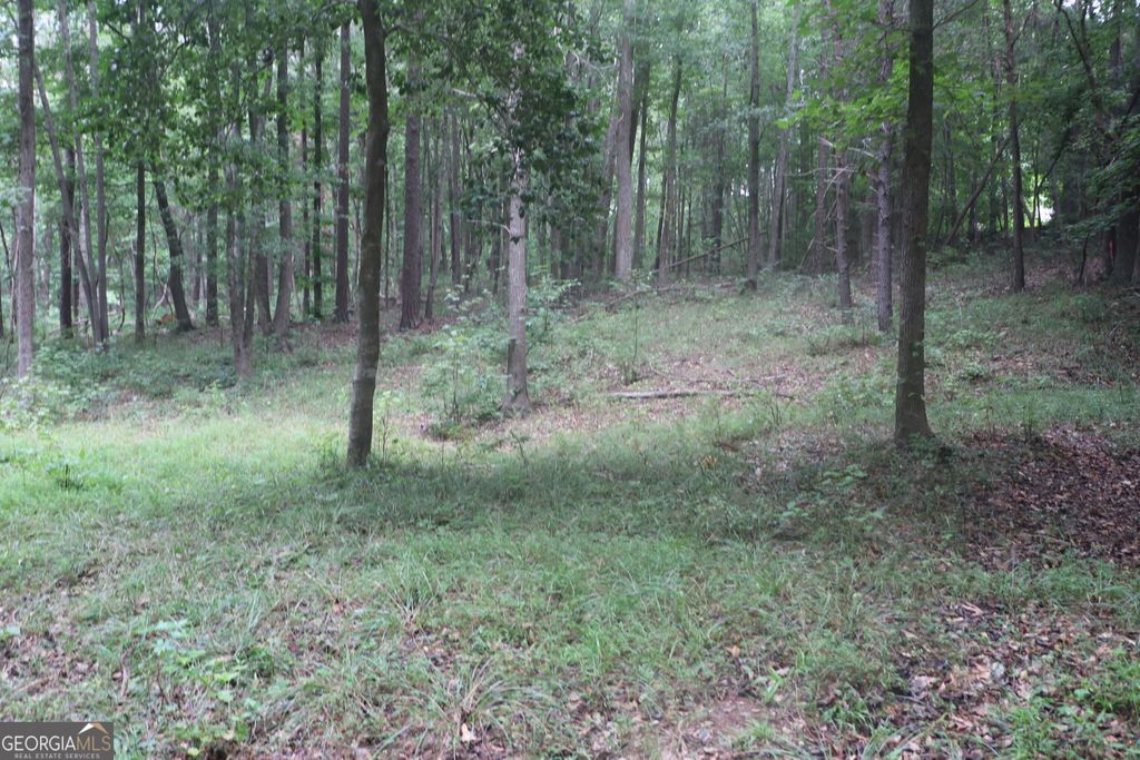 330 Mountain View Road TRACK 1, Lavonia, GA 30553 — exterior