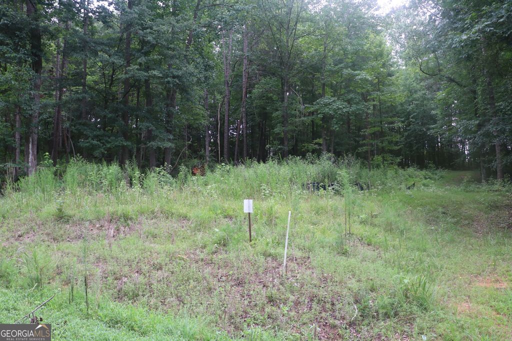 330 Mountain View Road TRACK 1, Lavonia, GA 30553 — photo 2
