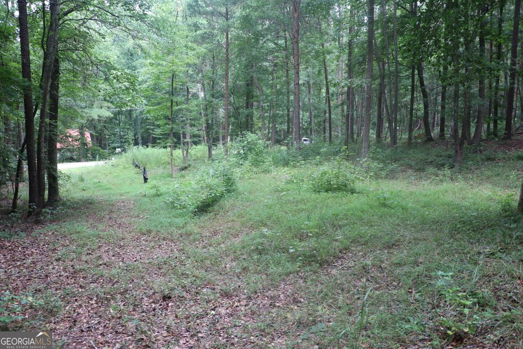 330 Mountain View Road TRACK 1, Lavonia, GA 30553 — photo 3