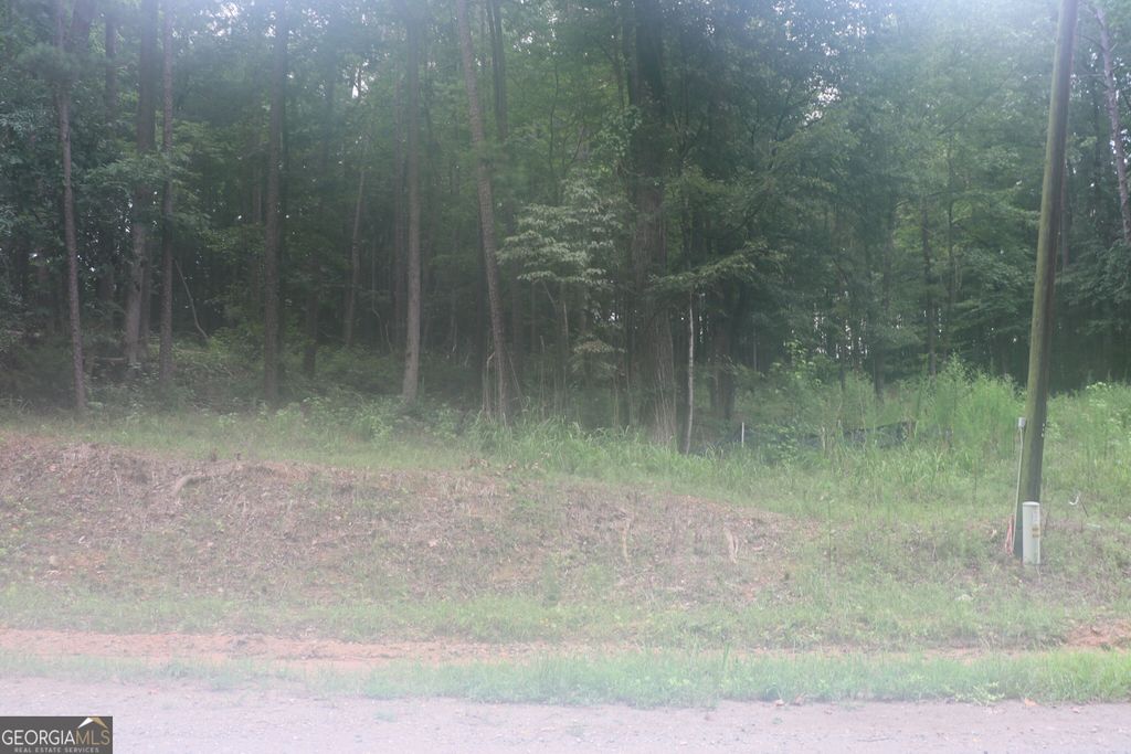 330 Mountain View Road TRACK 1, Lavonia, GA 30553 — photo 4