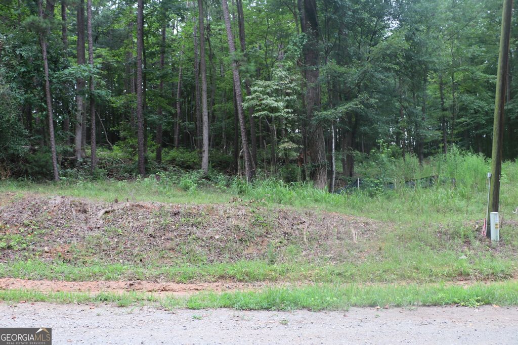 330 Mountain View Road TRACK 1, Lavonia, GA 30553 — photo 5