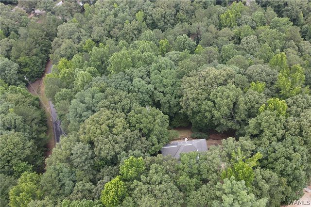 10654 Windswept, Tuscaloosa, AL 35405