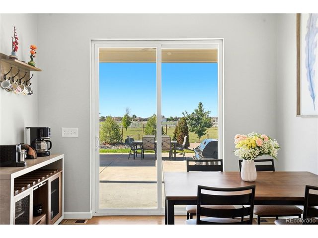 11183 E 163rd Ct, Brighton, CO 80602