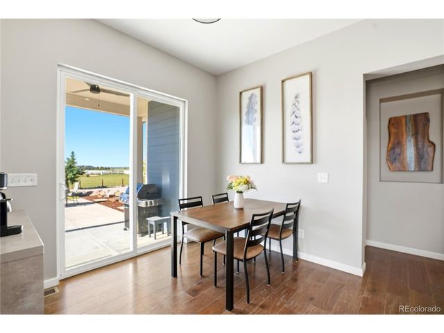 11183 E 163rd Ct, Brighton, CO 80602