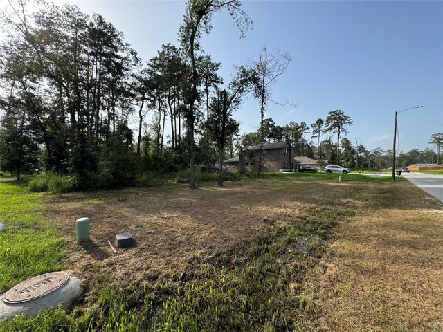 0 Republic Road, New Caney, TX 77357