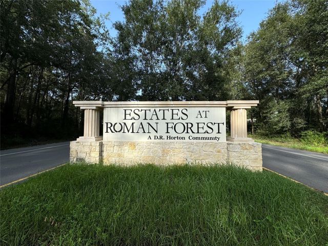 0 Republic Road, New Caney, TX 77357