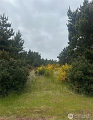 723 S Sand Dune Avenue SW, Ocean Shores, WA 98569