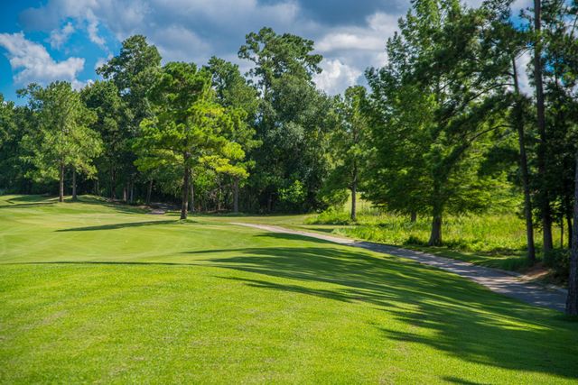 123 Mediterra Way, Spring, TX 77389