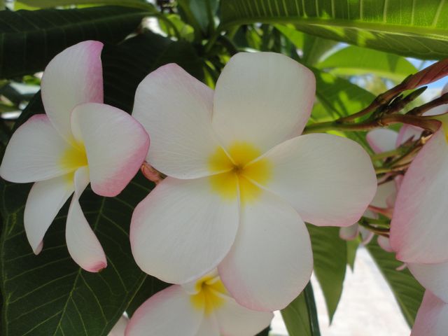 1440 Lexington Square SW, Vero Beach, FL 32962