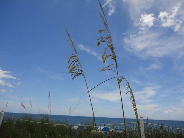 1440 Lexington Square SW, Vero Beach, FL 32962