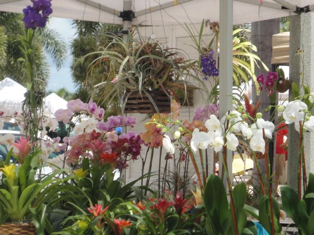 1440 Lexington Square SW, Vero Beach, FL 32962