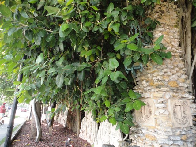 1440 Lexington Square SW, Vero Beach, FL 32962