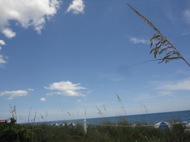 1440 Lexington Square SW, Vero Beach, FL 32962