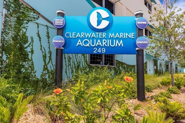 736 ISLAND WAY 804, Clearwater, FL 33767