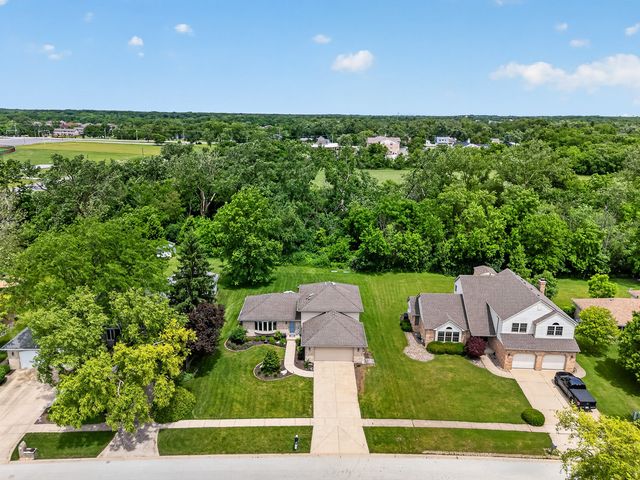 717 Naoma Drive, Crete, IL 60417