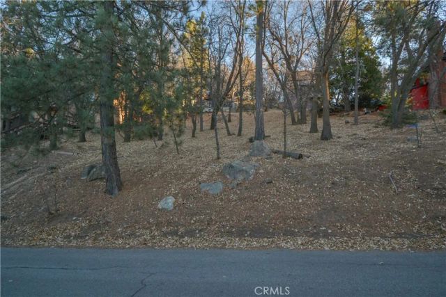 1411 Yosemite, Lake Arrowhead, CA 92352