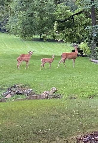 2695 Homewood Drive, Troy, MI 48098