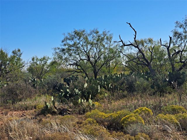 TBD 140.60 acres, Merkel, TX 79536