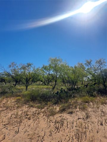 TBD 140.60 acres, Merkel, TX 79536