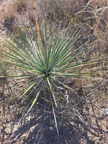 TBD 140.60 acres, Merkel, TX 79536