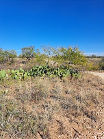 TBD 140.60 acres, Merkel, TX 79536
