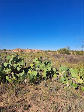 TBD 140.60 acres, Merkel, TX 79536