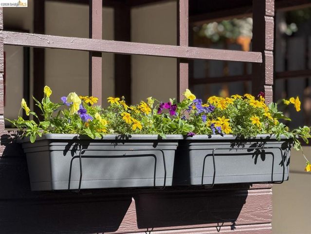 1950 Hopkins Street, Berkeley, CA 94707