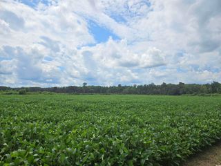 56.3AC Farguson Rd., Nichols, SC 29581