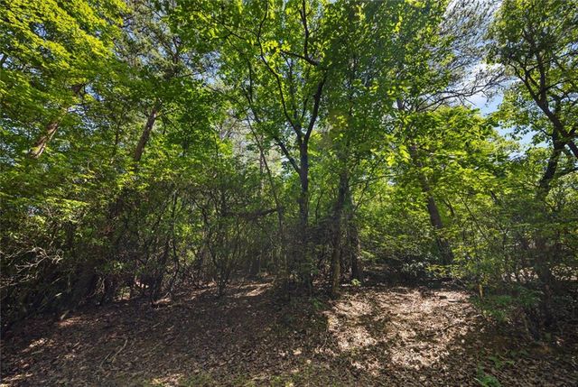 196 Cinnamon Fern Lane, Big Canoe, GA 30143