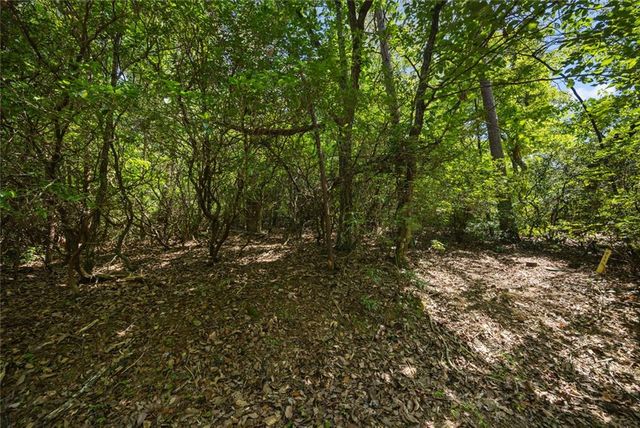 196 Cinnamon Fern Lane, Big Canoe, GA 30143