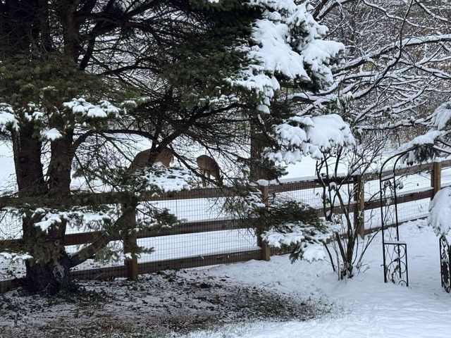 1143 Cecelia Avenue, Park Hills, KY 41011