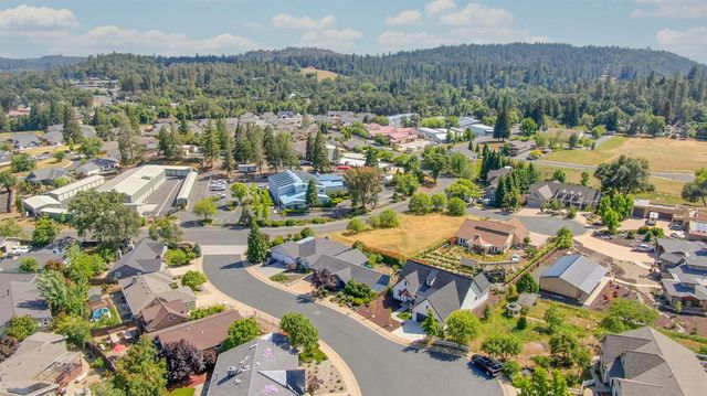 358 Oak Tree Cir, Murphys, CA 95247