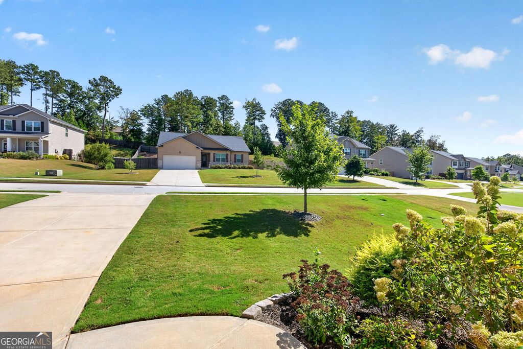 230 Blossom Wood Drive, Senoia, GA 30276 — photo 3