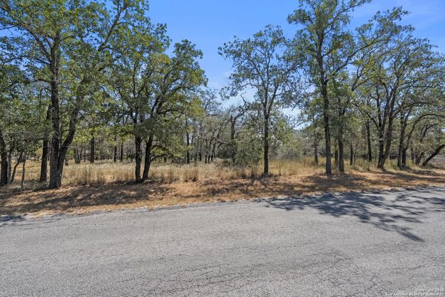1963 Deer Trail, Floresville, TX 78114