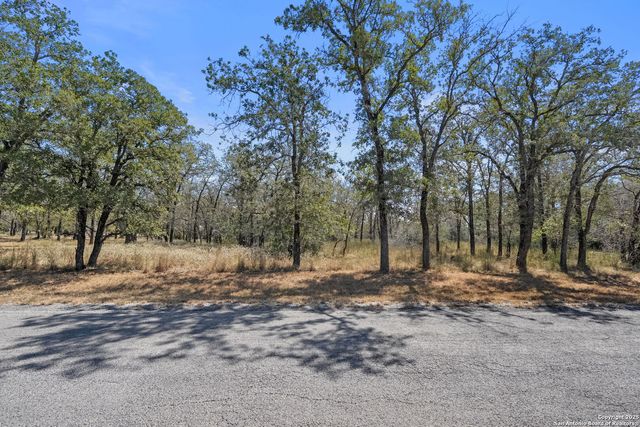 1963 Deer Trail, Floresville, TX 78114