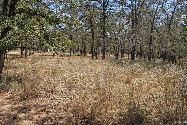 1963 Deer Trail, Floresville, TX 78114
