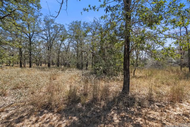 1963 Deer Trail, Floresville, TX 78114