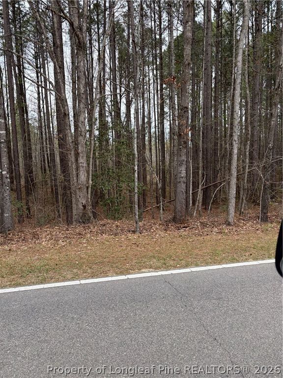 Mcpherson Road, Sanford, NC 27330 — exterior