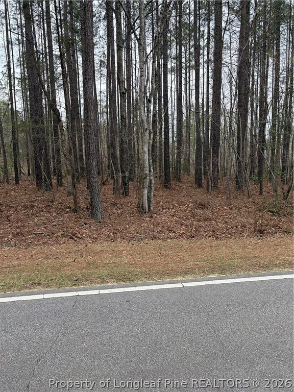 Mcpherson Road, Sanford, NC 27330 — photo 2