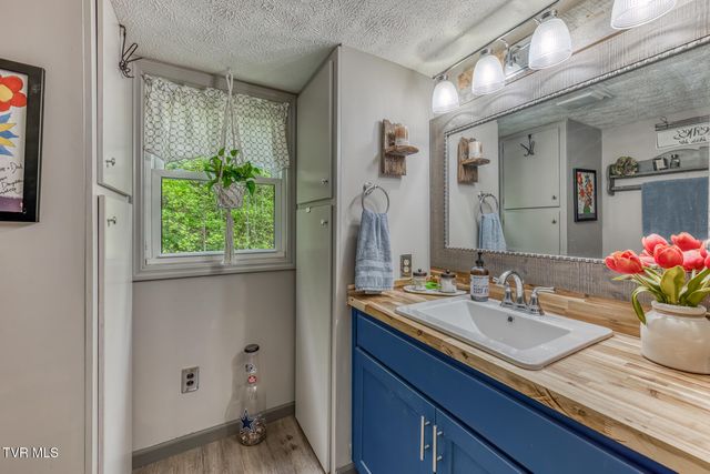 126 Shadow Mountain Road, Roan Mountain, TN 37687