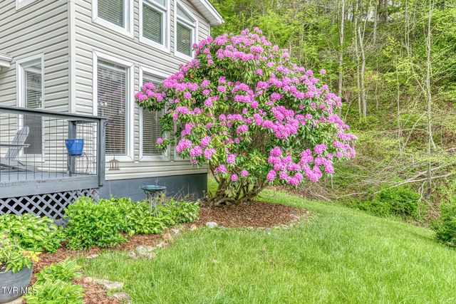 126 Shadow Mountain Road, Roan Mountain, TN 37687
