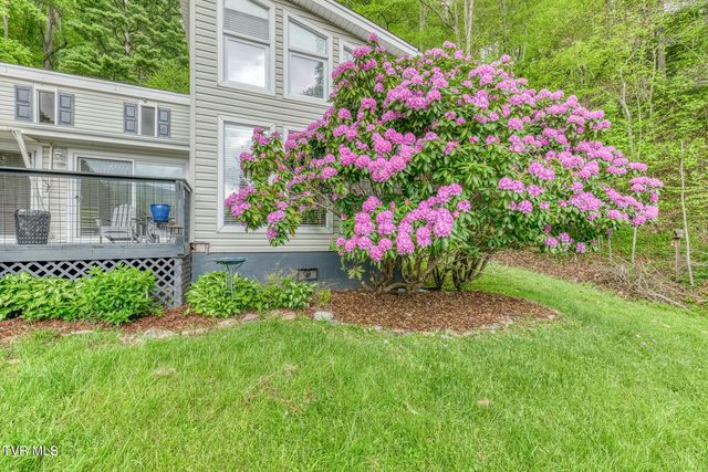 126 Shadow Mountain Road, Roan Mountain, TN 37687