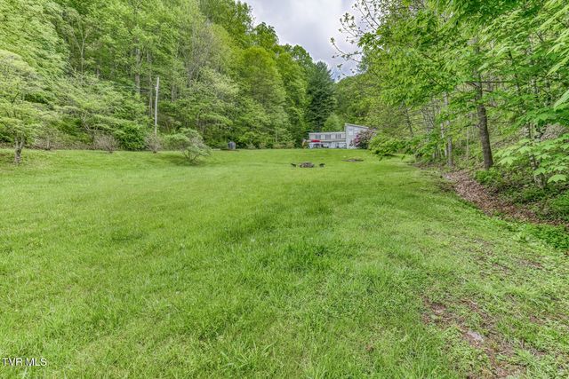 126 Shadow Mountain Road, Roan Mountain, TN 37687