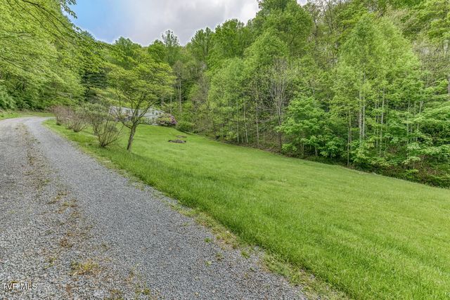 126 Shadow Mountain Road, Roan Mountain, TN 37687