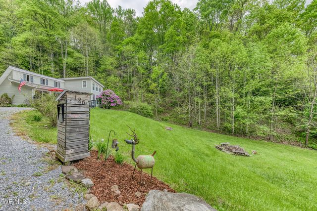 126 Shadow Mountain Road, Roan Mountain, TN 37687