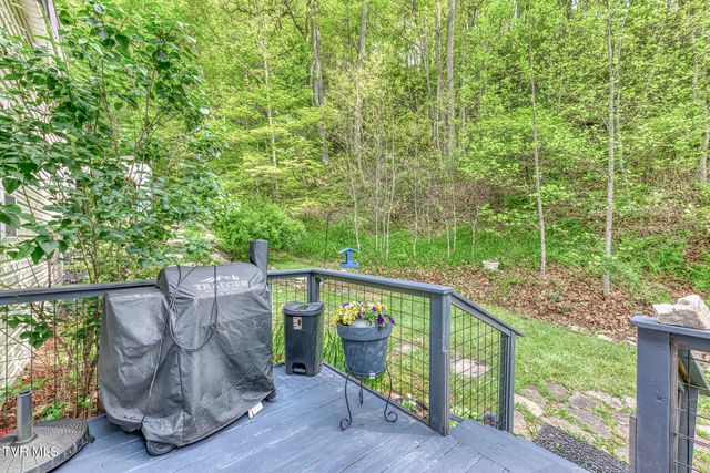 126 Shadow Mountain Road, Roan Mountain, TN 37687