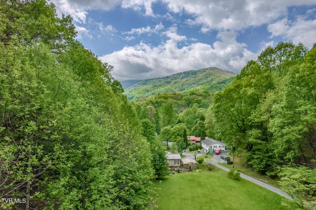126 Shadow Mountain Road, Roan Mountain, TN 37687