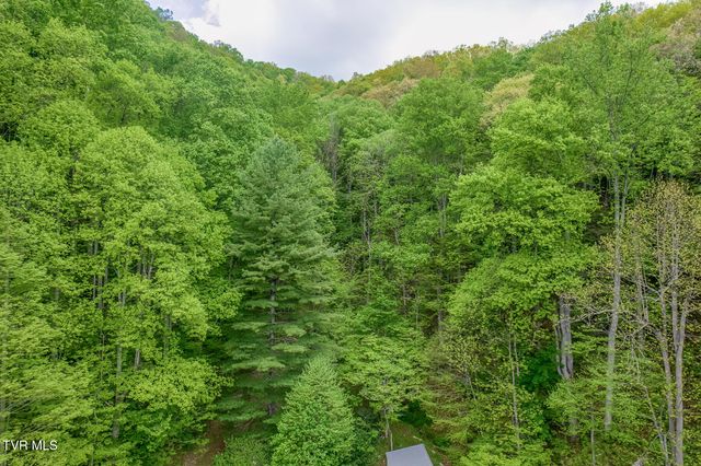 126 Shadow Mountain Road, Roan Mountain, TN 37687