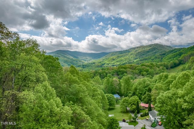 126 Shadow Mountain Road, Roan Mountain, TN 37687